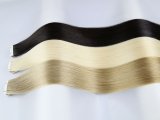 _0003_IMG_8458