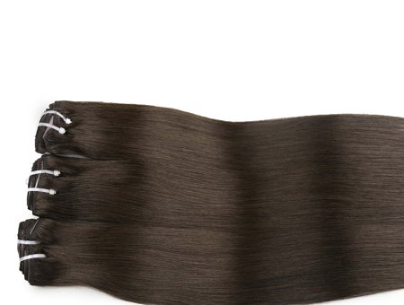 Double Drawn Cuticle Aligned Raw Clip In #2