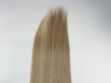 topper TLQ (4)